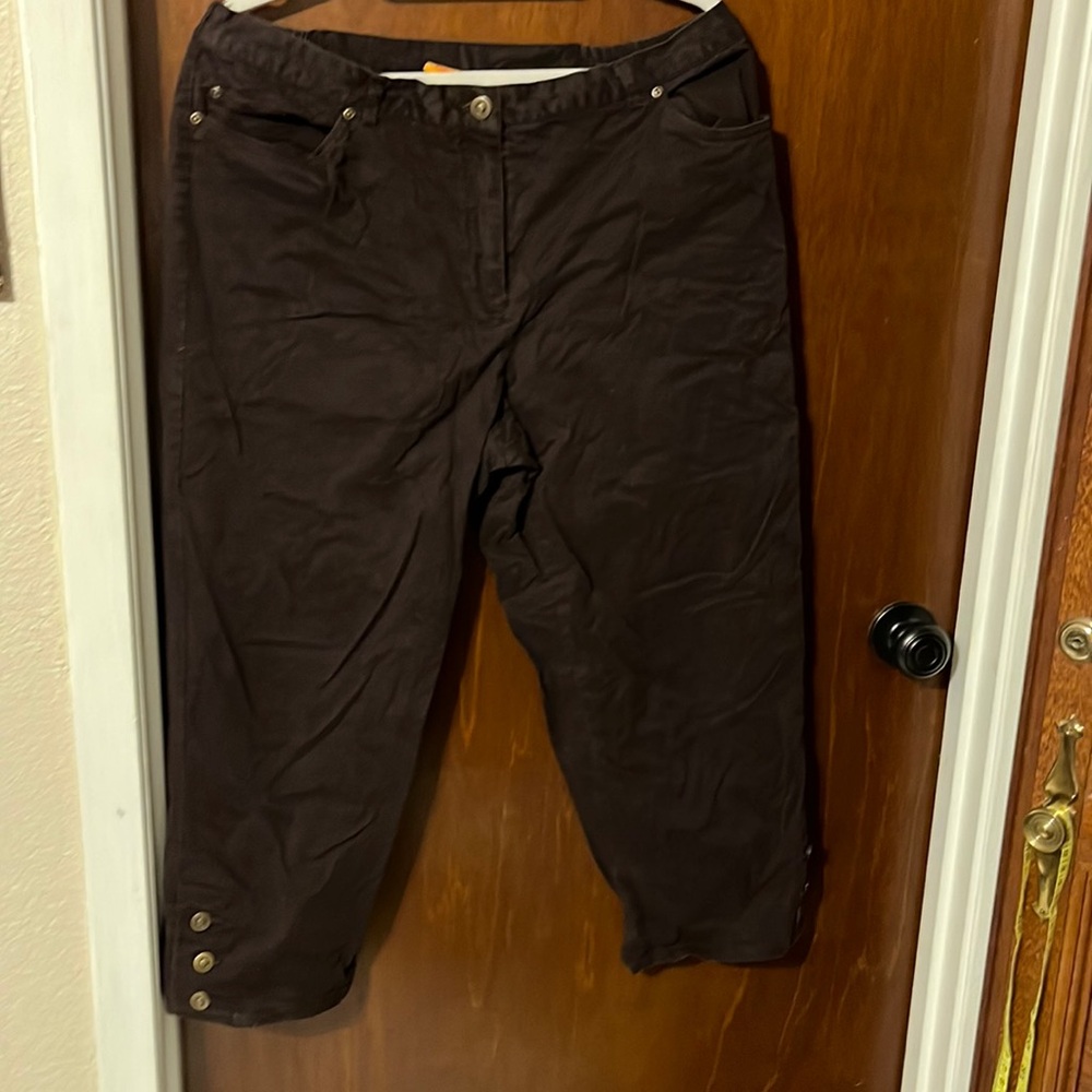 Brown capris they got a little elastic on the sides in the back